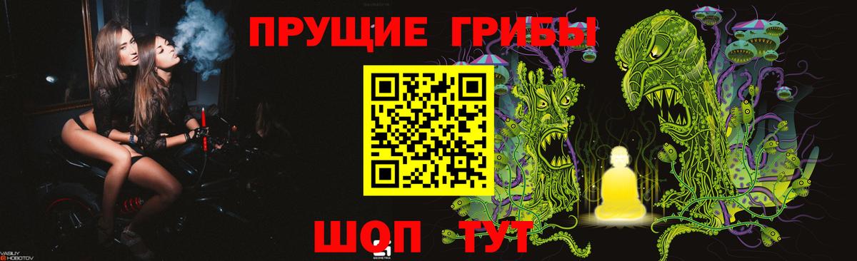 Светлоград  Галлюциногенные грибы мухоморы  Вход с VPN  Псилоцибиновые грибы прущие грибы 