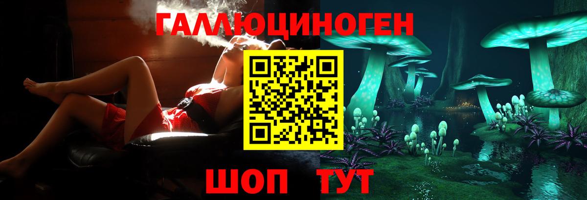 Псилоцибиновые грибы Cubensis Светлоград